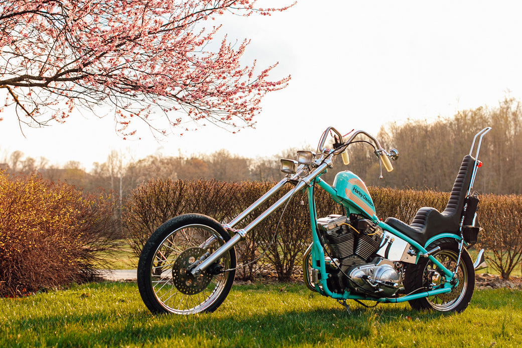 Udder Scum Sportster