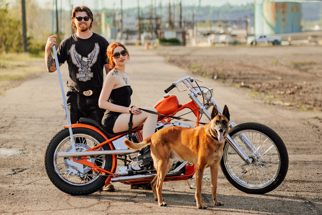 Orange Crush Shovelhead